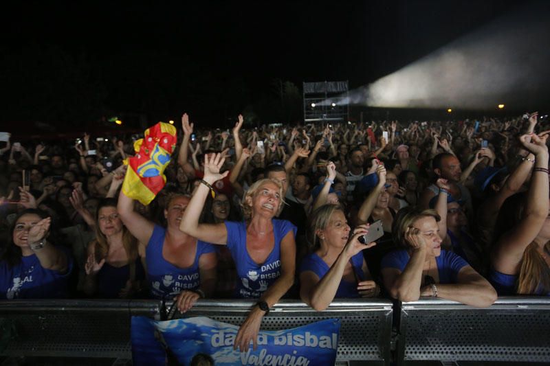 Feria de Julio: Concierto de David Bisbal en València