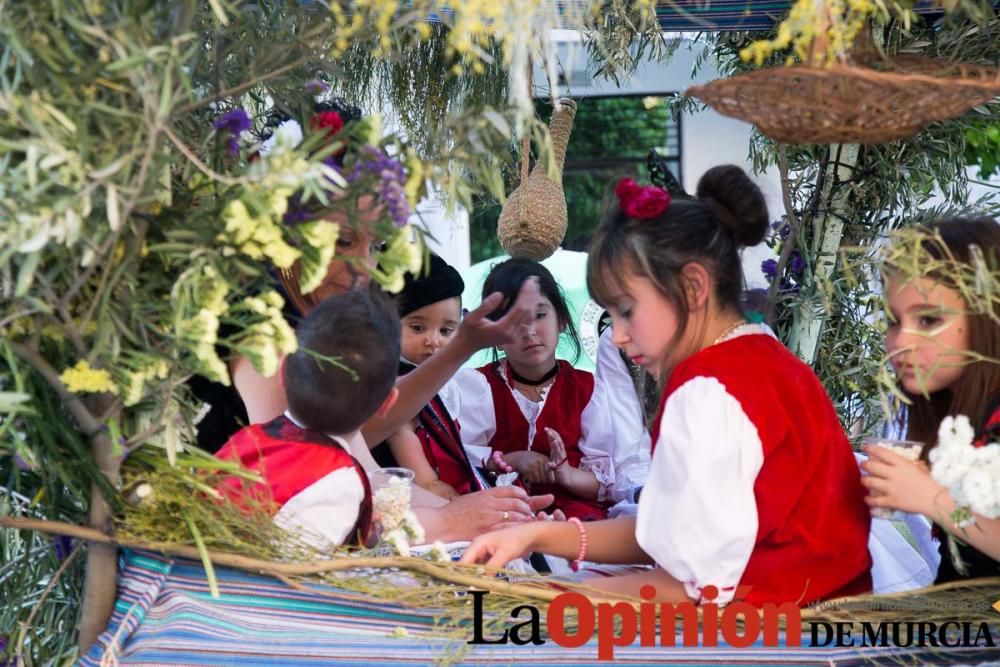 Festividad de San Isidro en Cehegín