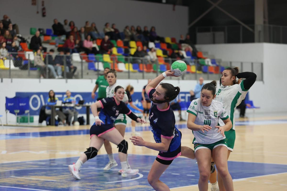 Un partido en el Florida Arena.