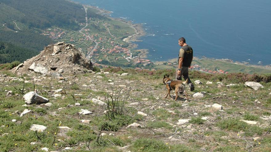 Animalistas aplauden la investigación contra los cazadores que colocaron cebos envenenados en Pontevedra