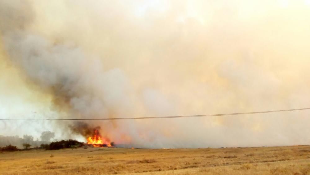 Fuego en Figueruela