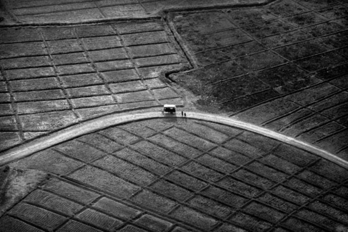 Vista aèria de camps de cultiu a prop de la localitat de Marjah, al sud de l’Afganistan.