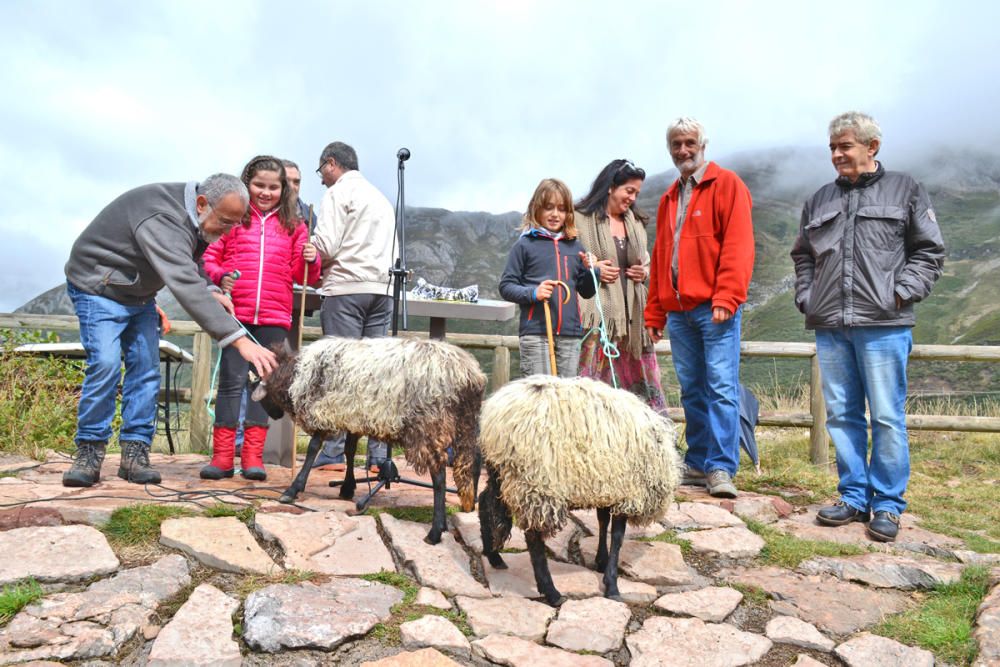 Romería de la trashumancia en los lagos de Salienc