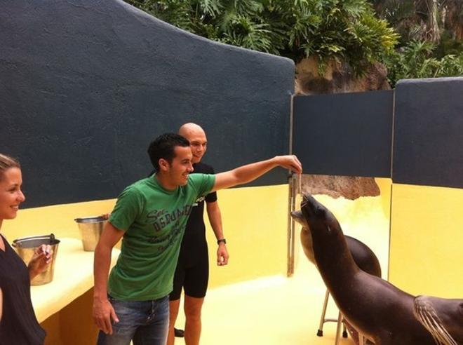 Pedro prefirió dar de comer a las focas durante sus vacaciones