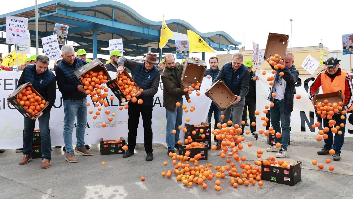 Un momento de la protesta de los dirigentes de las organizaciones agarias en la entrada el puerto de Castelló.