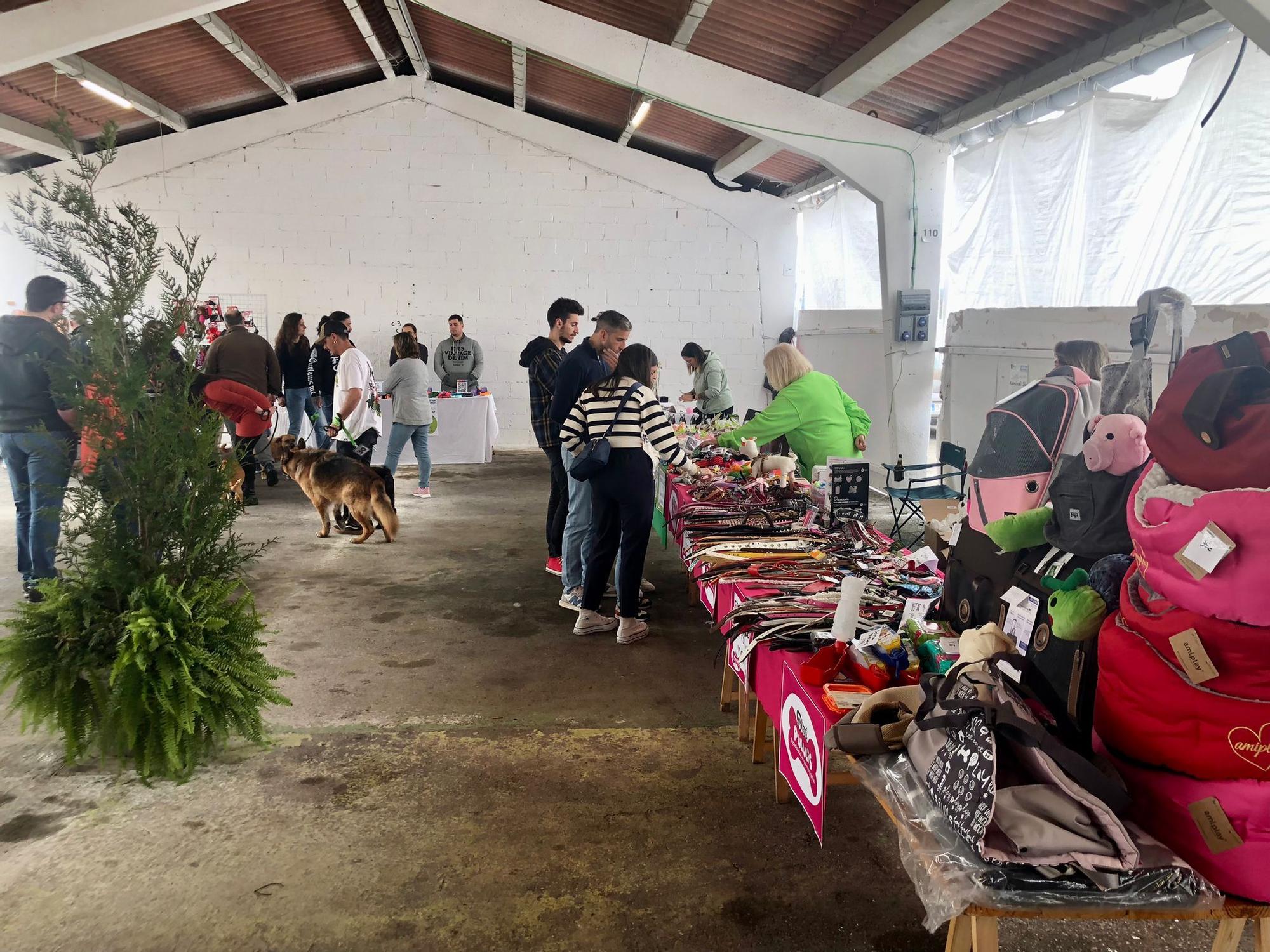 Éxito de público y animales en la 28ª Feria del Perro de Tineo