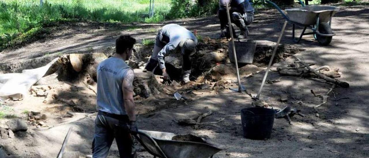 Los trabajos de prospección arqueológica del Castro Alobre. // Iñaki Abella