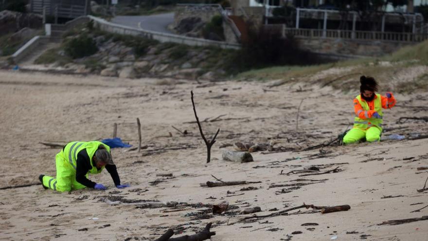 La eliminación de basura marina sigue adelante en las playas mecas | NOÉ PARGA