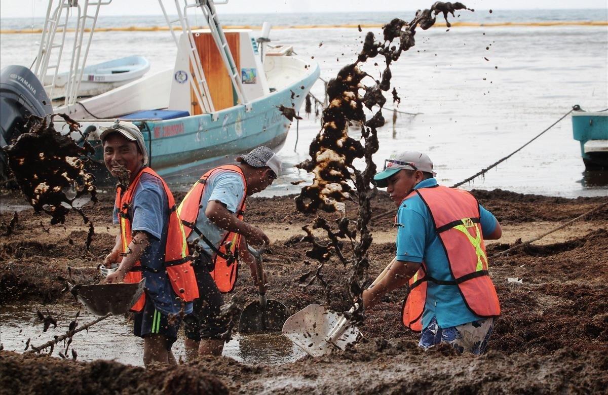 Empleados limpian el sargazo de la playa El Recodo, una playa principalmente de pescadores, afectada por el alga, este lunes, en Cancún (México). El Gobierno de México está abordando la llegada del sargazo en las playas del Caribe como un problema de Estado y sin contratar empresas privadas, declaró este lunes el secretario de Marina, José Rafael Ojeda, quien no obstante restó importancia a la situación.