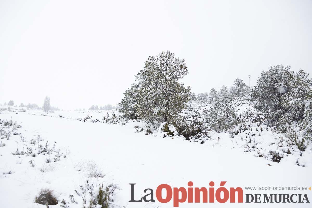 Continúa la nevada en las zonas altas de la comarca del Noroeste