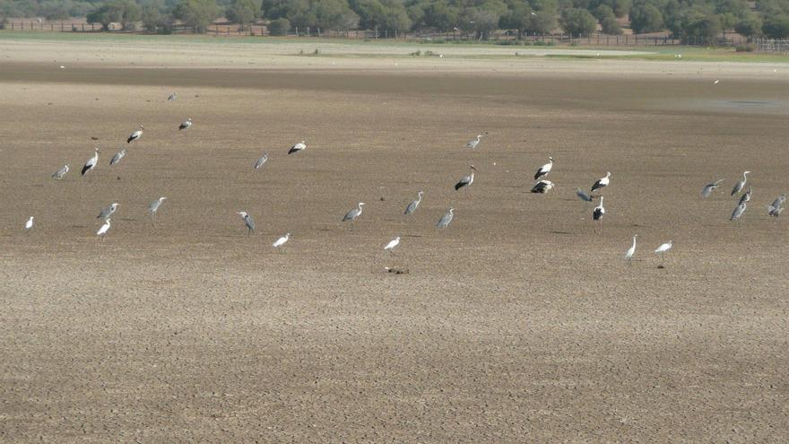 De Doñana al Campo de Cartagena