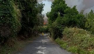 El Gobierno sube a nivel 2 la reactivación del incendio en Santa Úrsula y La Orotava