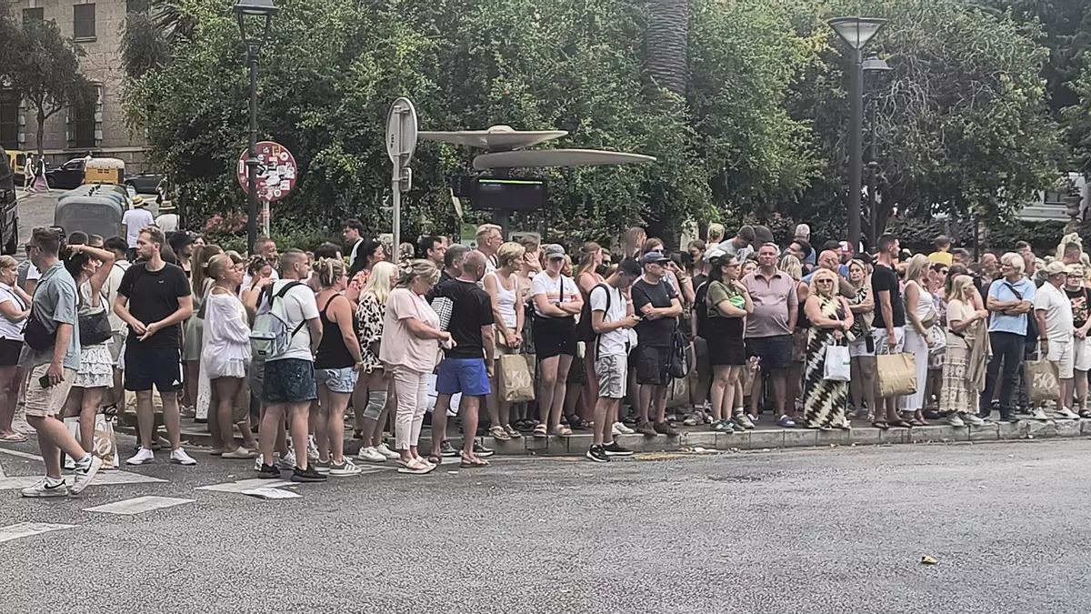 Palma sufre una jornada de colapso total en accesos, calles, aparcamientos y paradas de bus y de taxi
