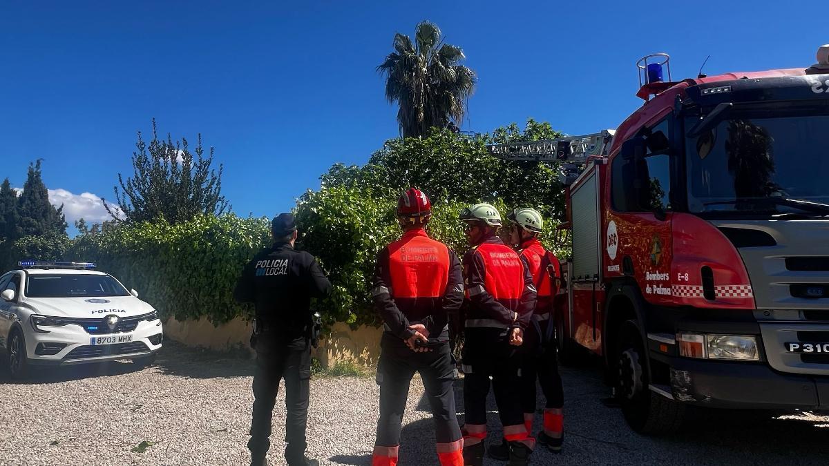 Bomberos y policías, durante el operativo para rescatar al loro.