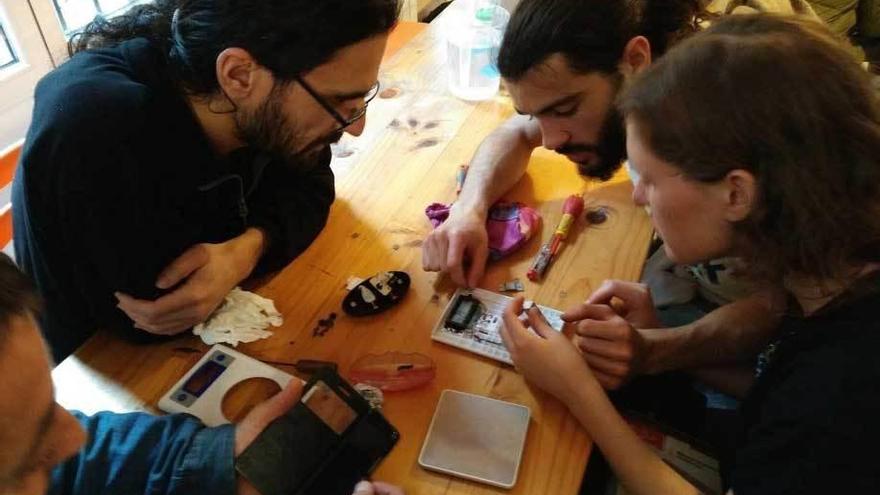 Voluntarios trabajando, en una edición anterior de la jornada.