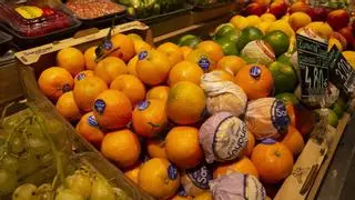 La cosecha de cítricos llega con más naranjas y pomelos, pero con menos mandarinas y limones