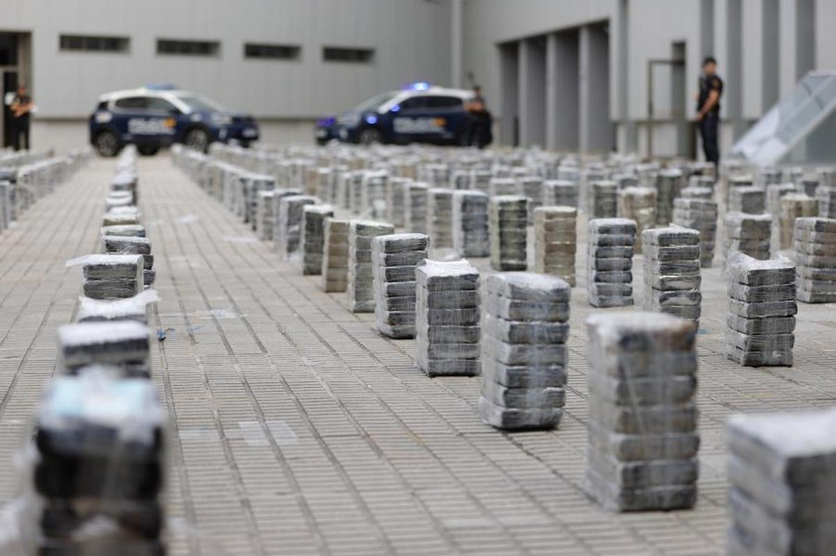 Alijo de cocaína incautado en el último gran operativo contra el narcotráfico