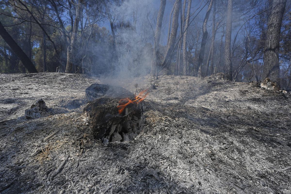 Les imatges de l'incendi de Vilavenut Les imatges de l'incendi de Vilavenut
