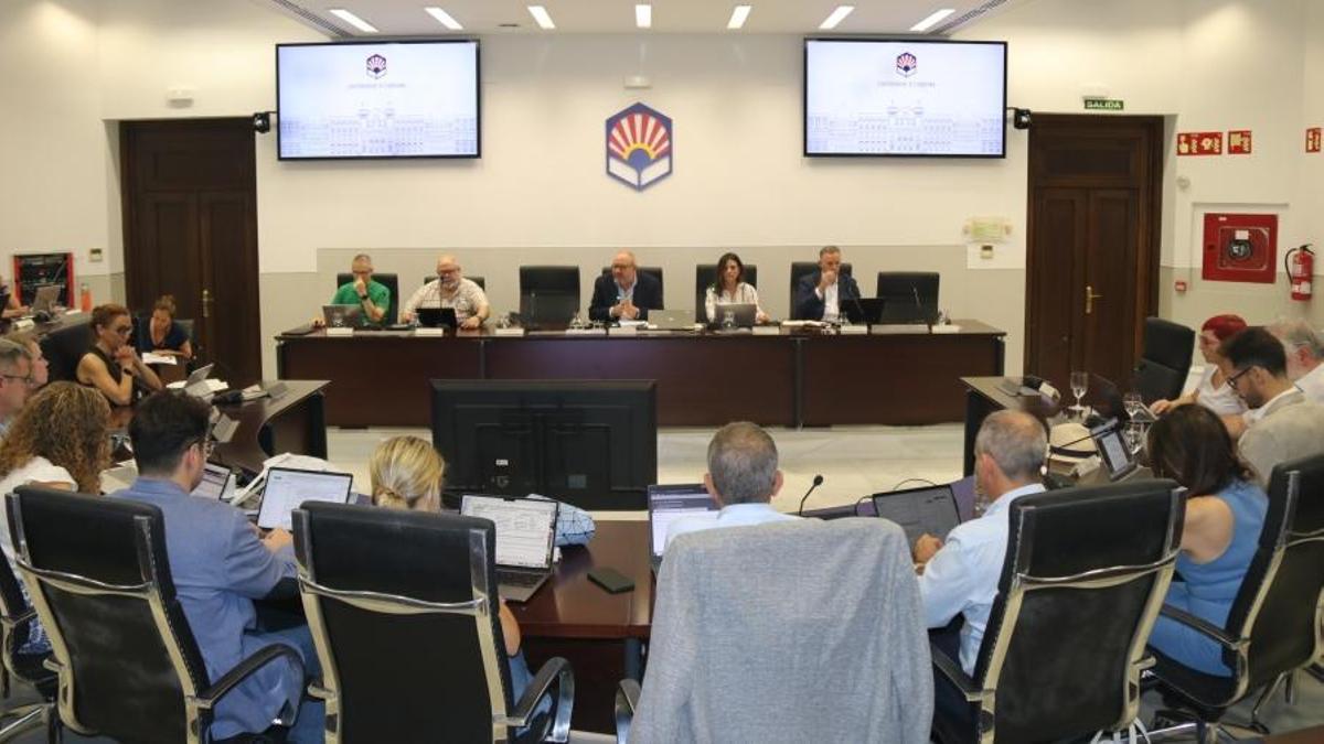 Sesión ordinaria de Consejo de Gobierno de la UCO celebrada este viernes.