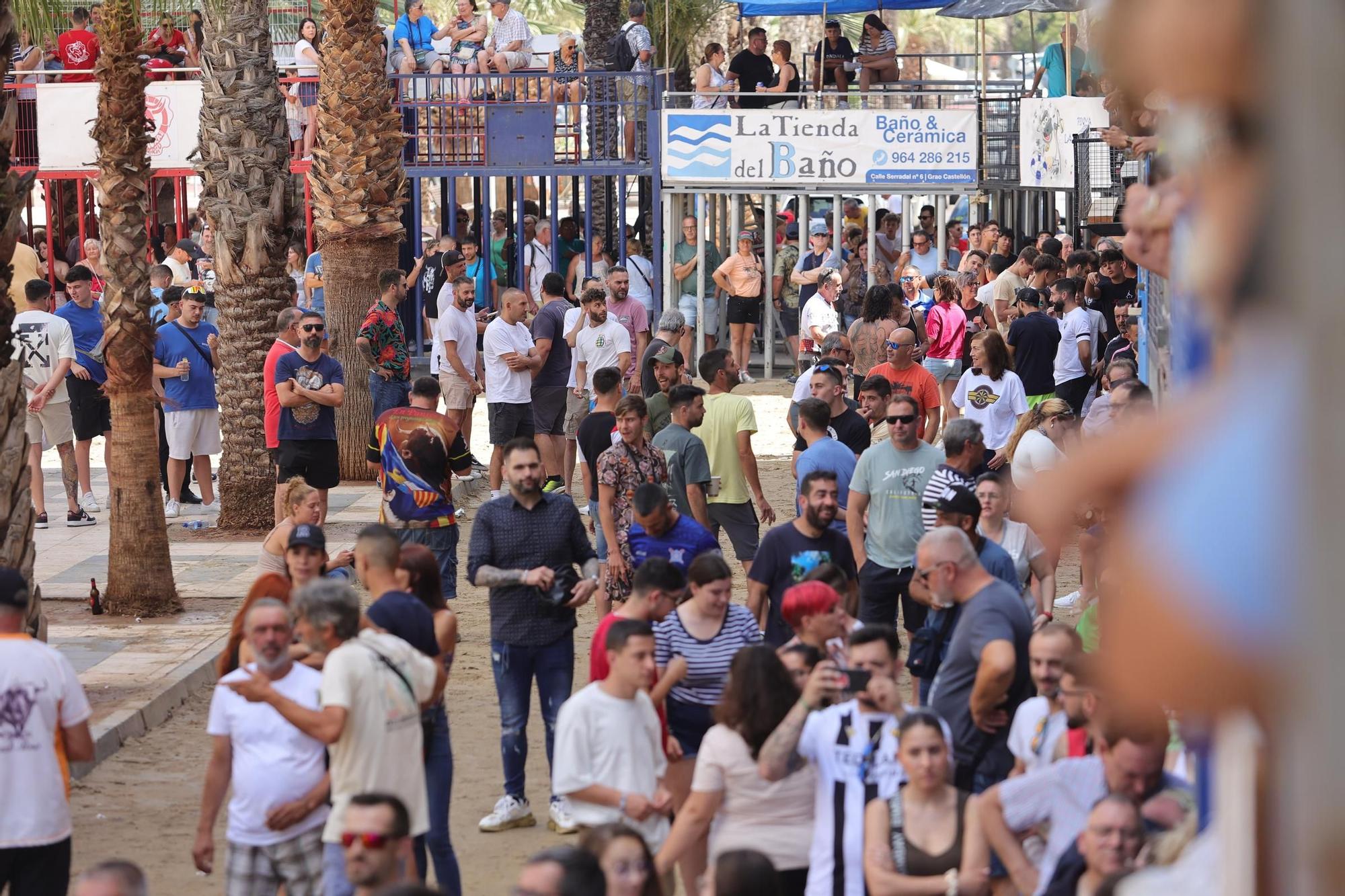 Encierro de cerriles en las fiestas de Sant Pere del Grau