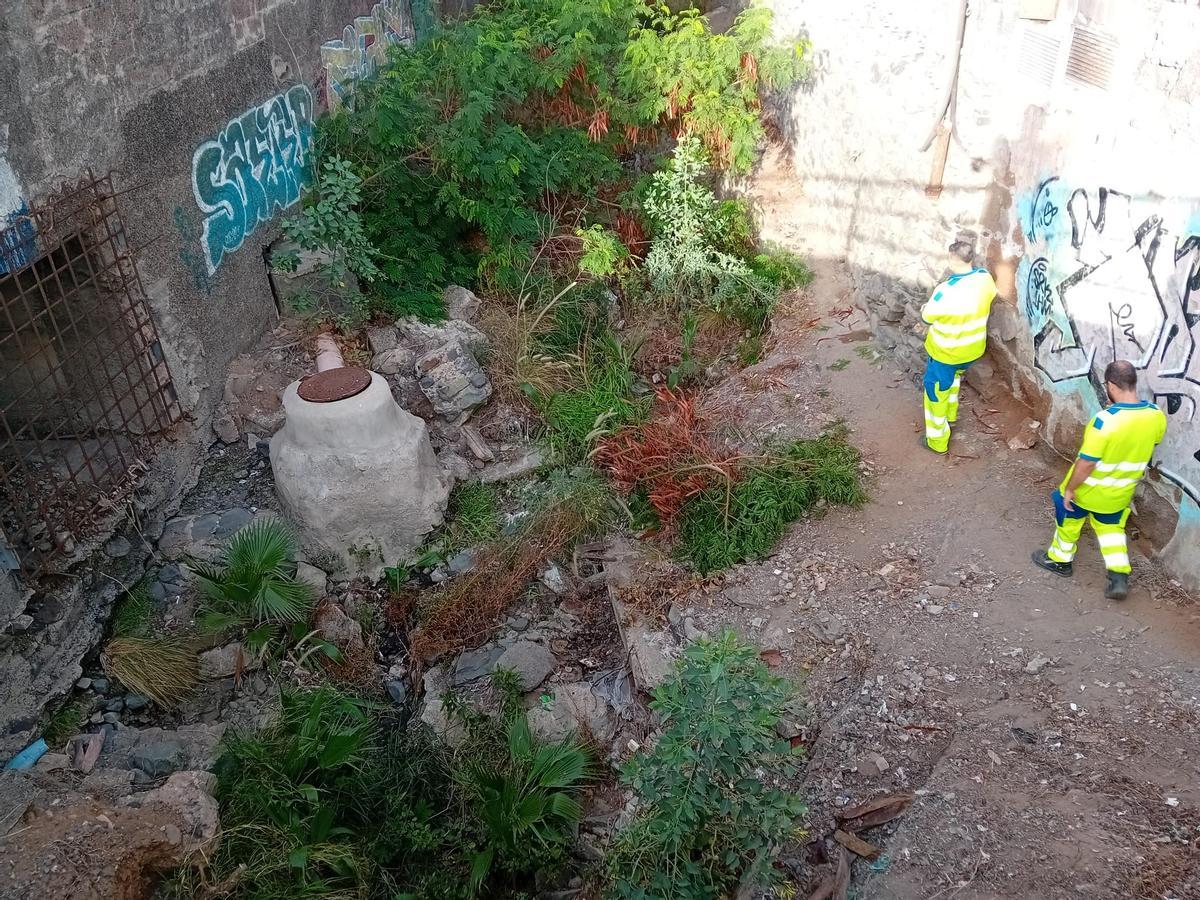 El Ayuntamiento intensifica la limpieza de barrancos y alcantarillado ante la previsión de lluvias durante esta semana (1)