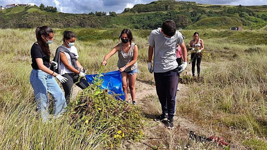 Los chavales del grupo scout de Valladolid, durante la limpieza en Xagó.