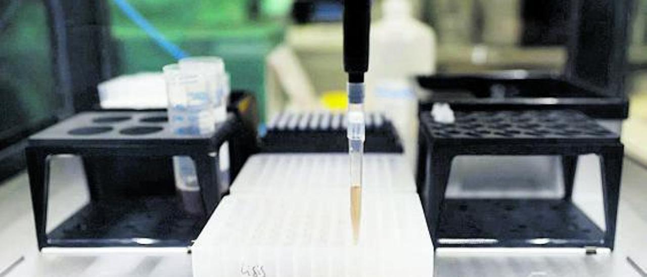 Probeta de pruebas PCR en un laboratorio de microbiología. |   // EP