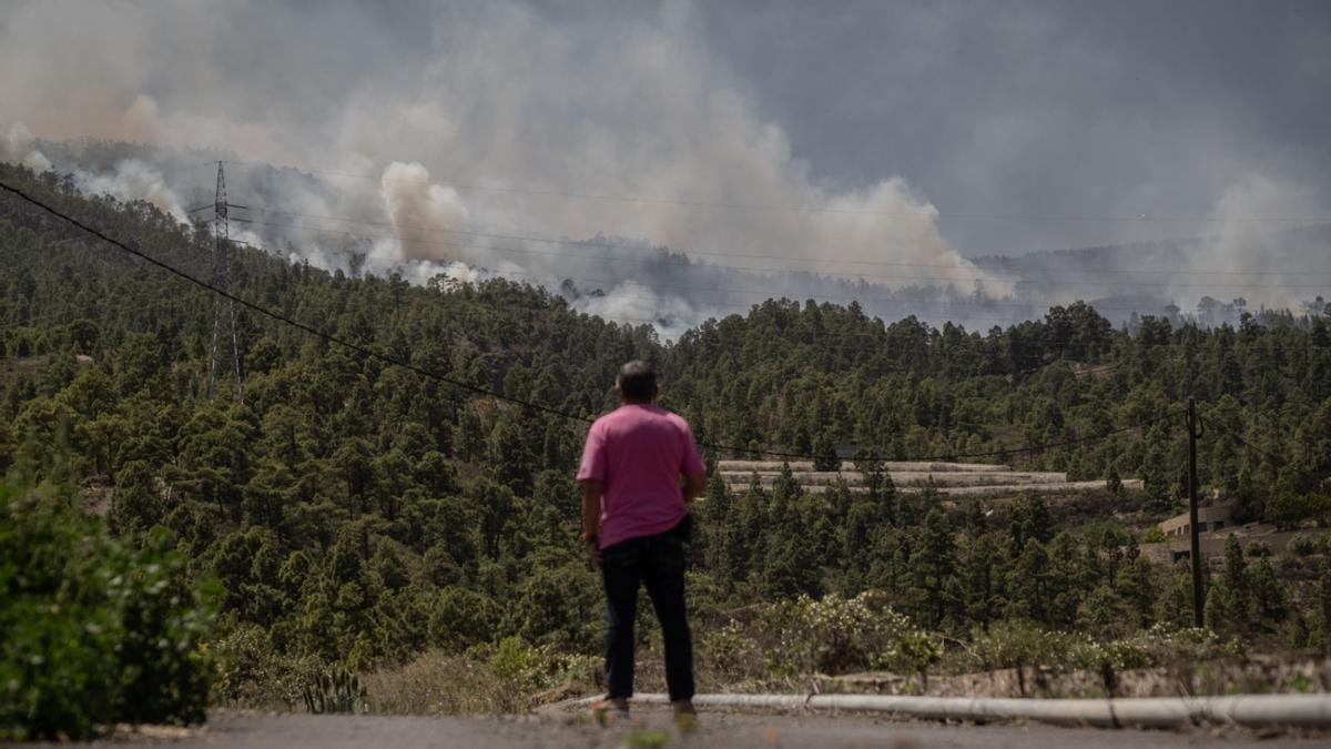 Incendio forestal en Arico