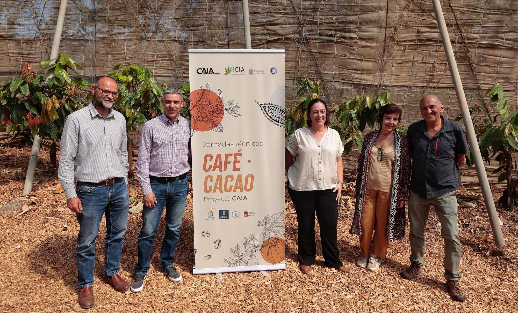 Parcelas destinadas al cultivo de café y cacao de la Finca Los Pajalillos