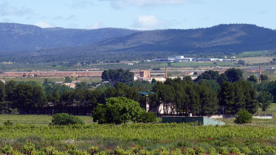 Paisajes de viñedos de la DOP Utiel-Requena, uno de los reclamos enoturísticos