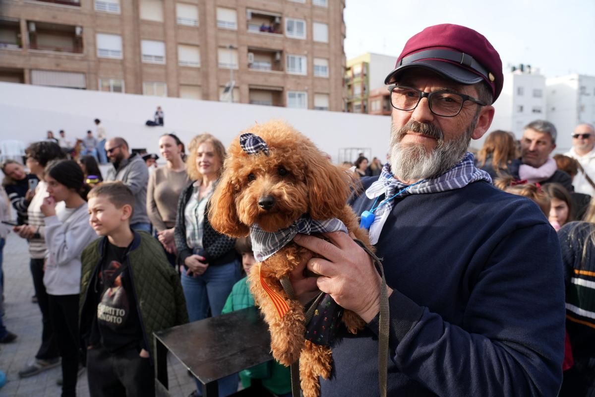 Mascotas disfrazadas en el Carnaval del Grau de Castelló. ¿Has participado? Búscate en esta divertida iniciativa