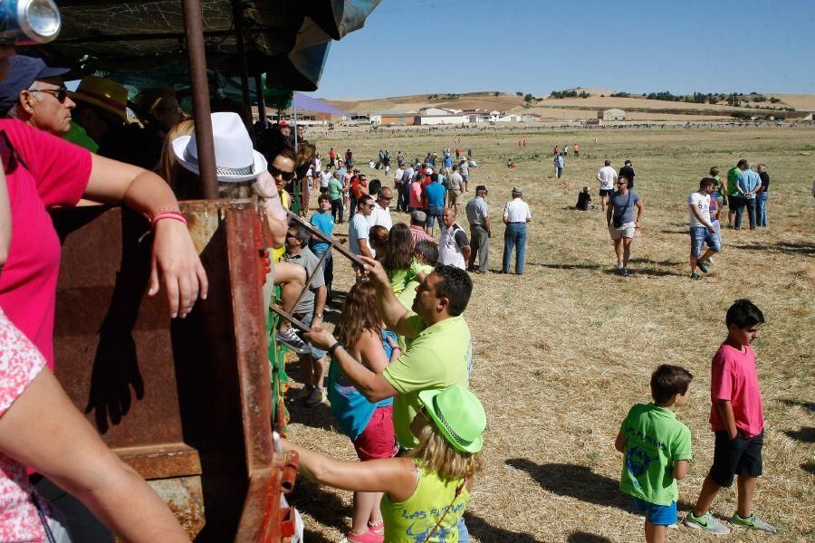 Fiestas en Zamora: Segudos espantes de Fuentesaúco