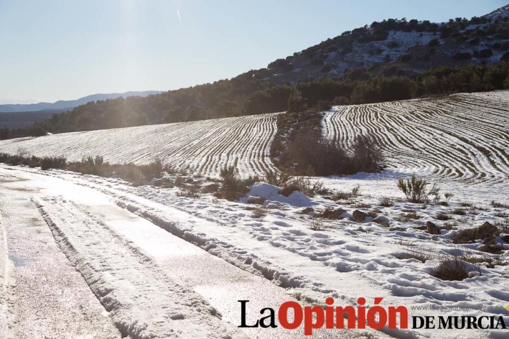 Nieve en Revolcadores