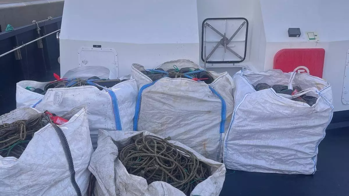 Masiva incautación furtiva en A Guarda: 200 cacharros para pesca ilegal del pulpo y 57 ejemplares de menos de 100 gramos