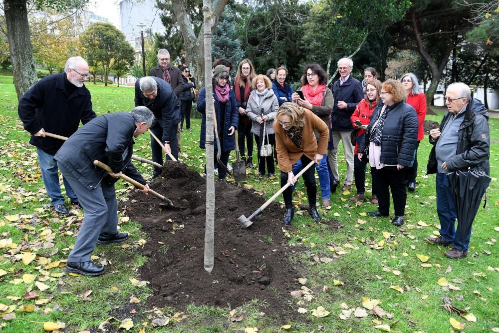 Las entidades que conforman la Plataforma Coruñesa de Voluntariado constan con un árbol que recuerda su labor a favor de la inclusión que realizan.