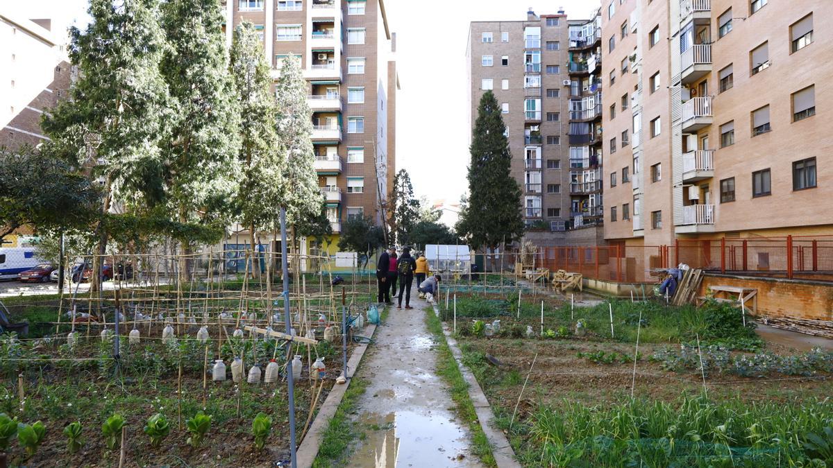 El huerto está en la calle Celanova, en mitad del barrio de Delicias de Zaragoza.