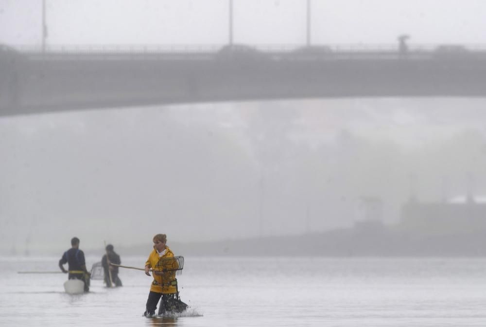 Reapertura de la ría tras permanecer inoperativa por la detección de un exceso de combustible en el agua.