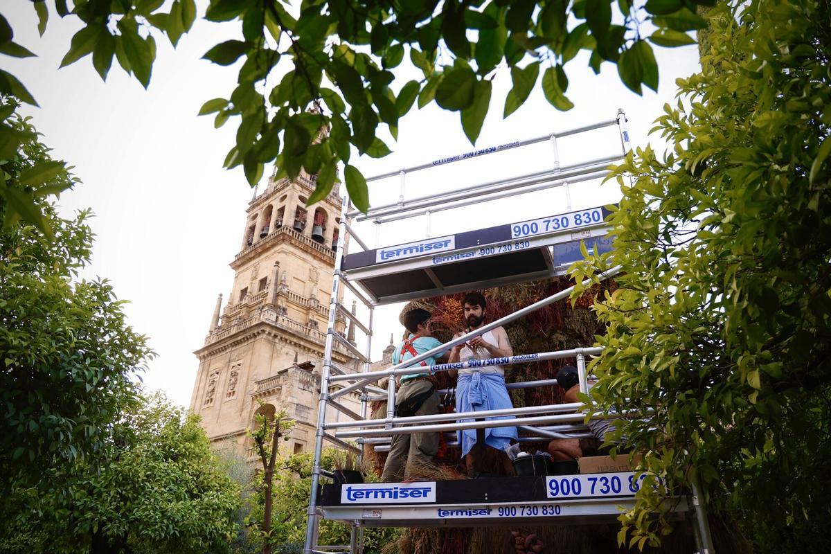 Flora 2025. El estadounidense Putnam Flowers (Patio de los Naranjos de la Mezquita-Catedral)