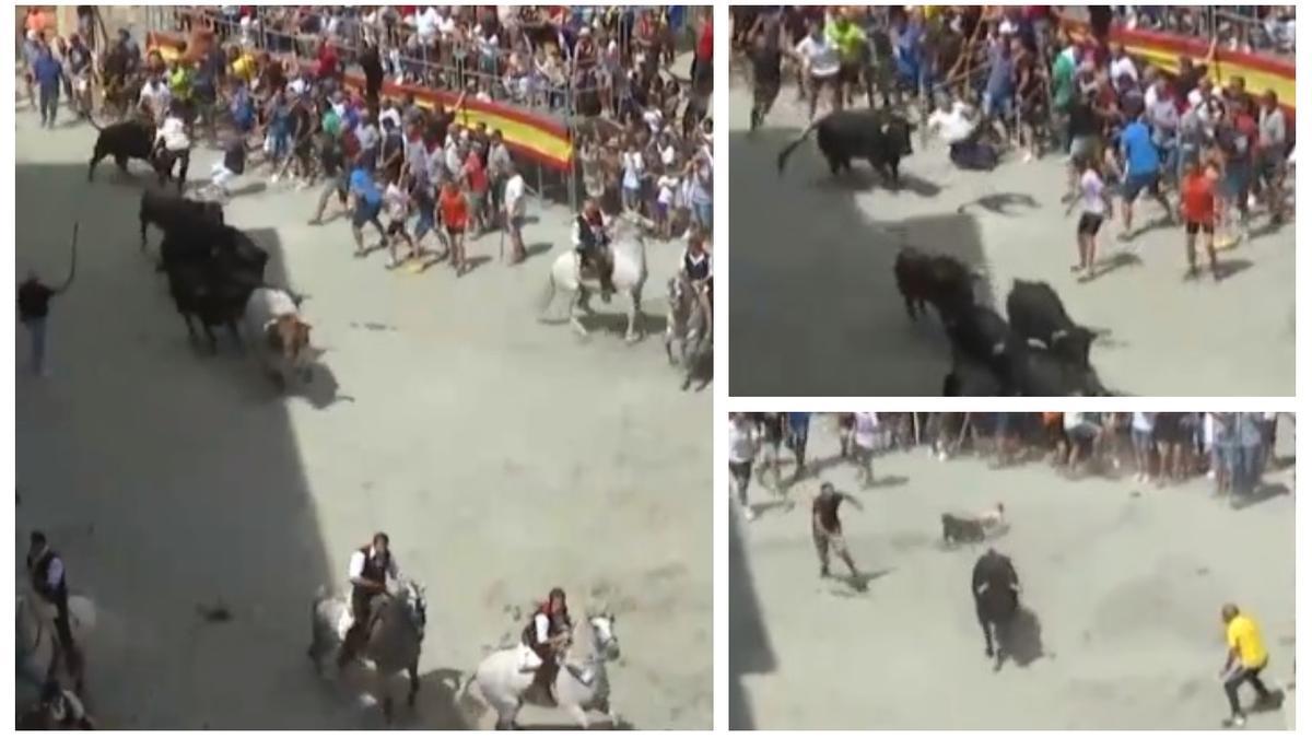 Momento en el que el toro se ha llevado por delante a un hombre que había entre el público.