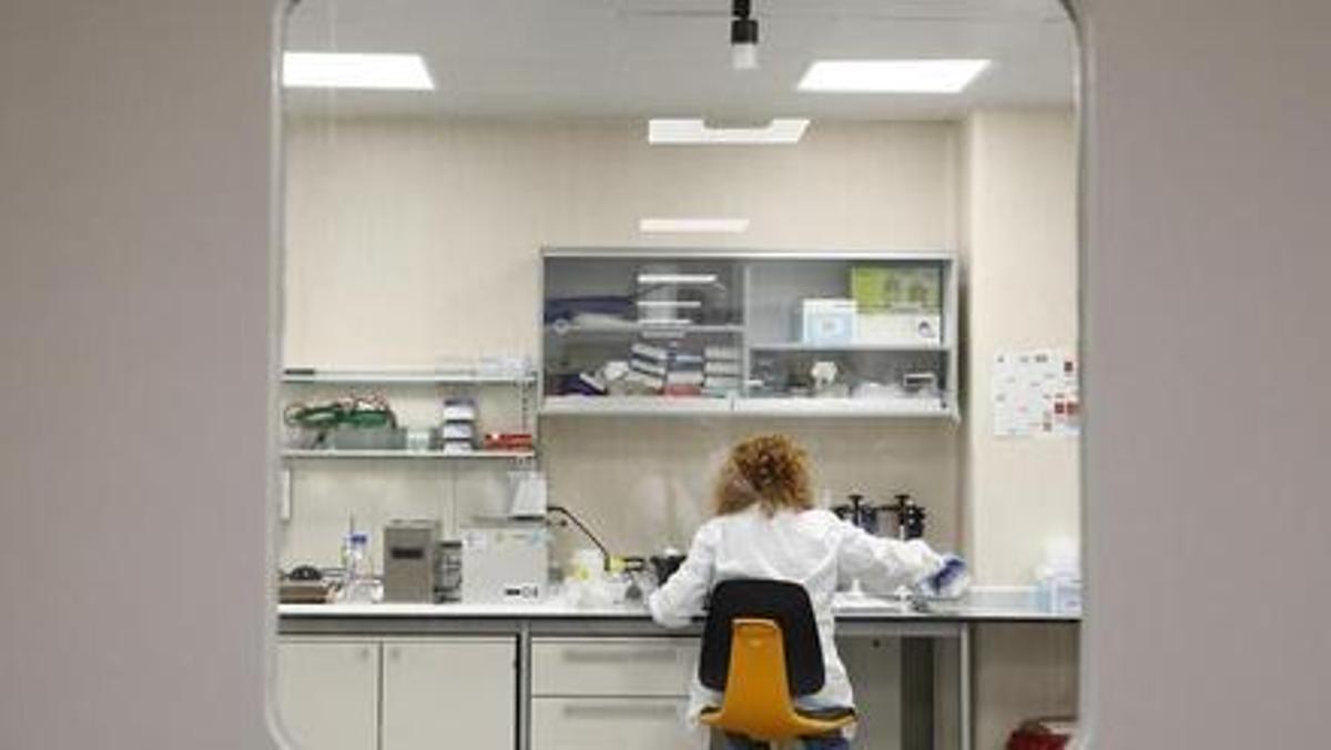Una investigadora en uno de los laboratorios del centro.