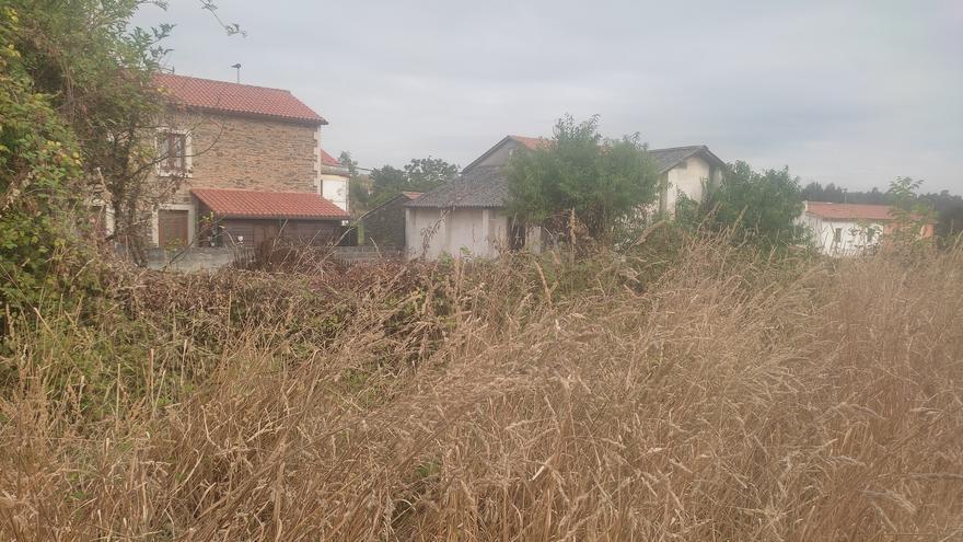 La burocracia, el peor enemigo de la ley contra incendios: Siete años de trámites para limpiar de maleza una parcela en Betanzos