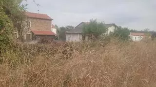 La burocracia, el peor enemigo de la ley contra incendios: Siete años de trámites para limpiar de maleza una parcela en Betanzos