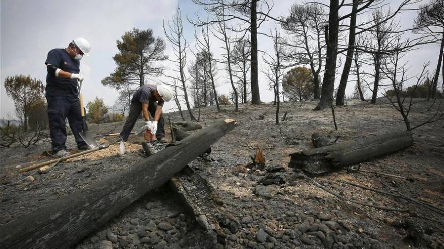 Seis incendios forestales siguen aún activos en España