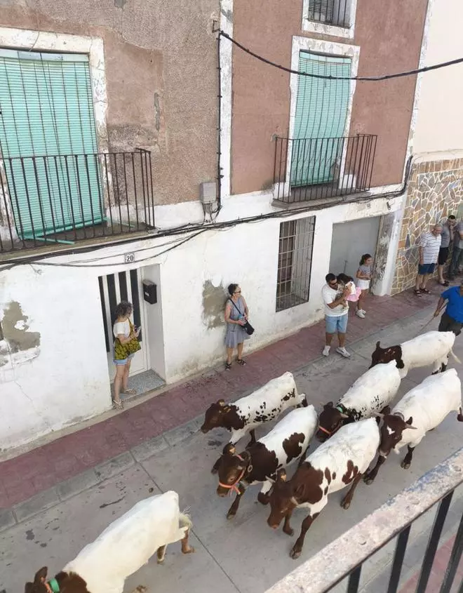 Rueda de Jalón despide el verano con sus fiestas