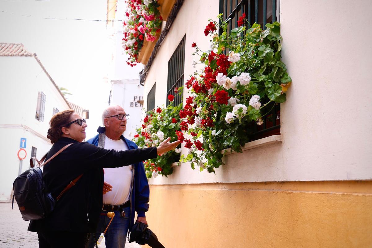 Ganadores del Concurso de Rejas y Balcones de Córdoba 2026