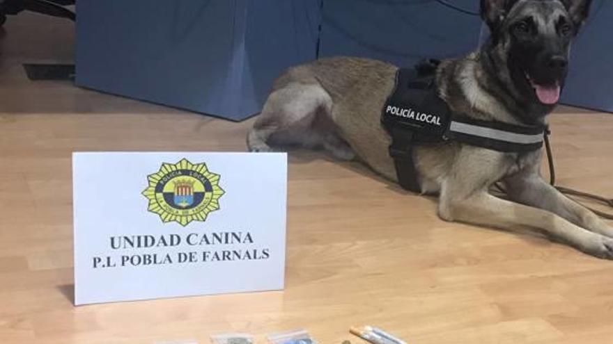 La intervención de la Unidad Canina ha sido fundamental.