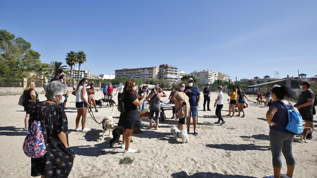 Protesta para reclamar "playas caninas dignas" en Torrevieja