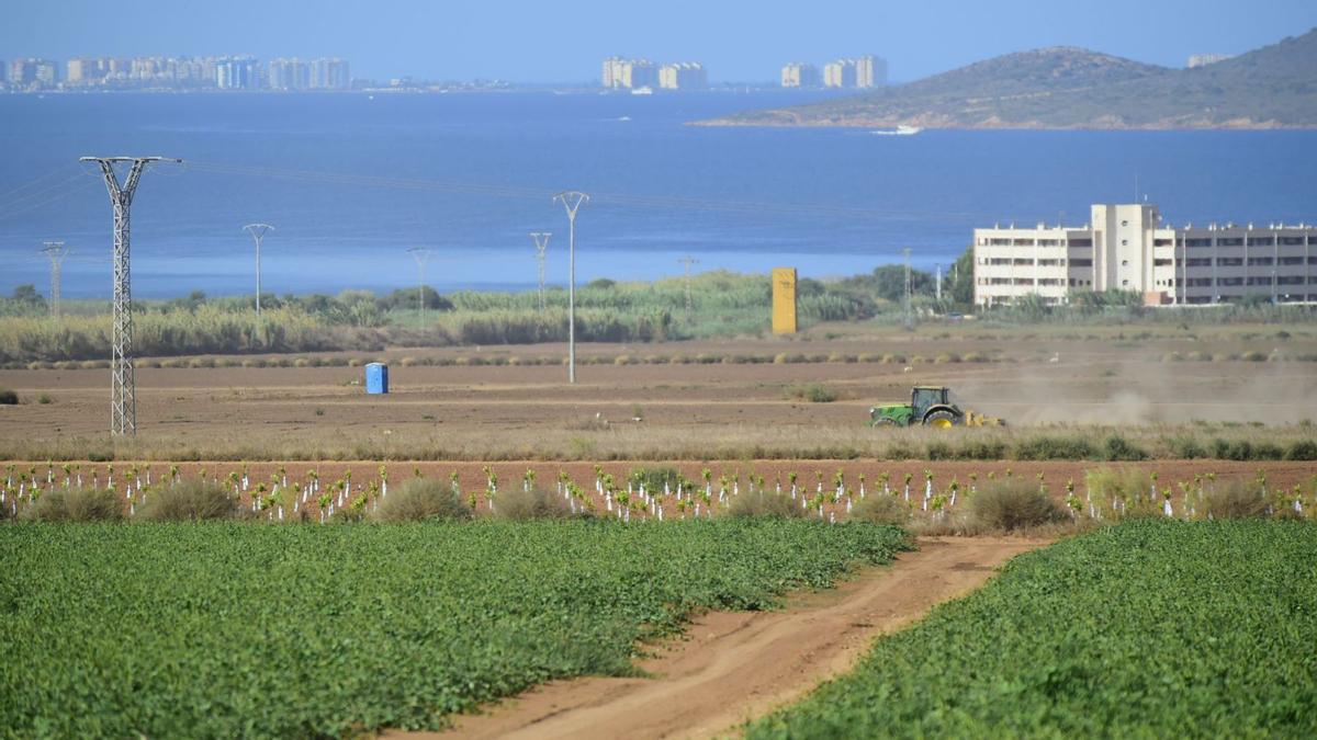 Varias fincas de cultivo frente al Mar Menor, en el término municipal de Cartagena. | IVÁN URQUÍZAR