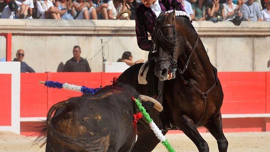 “Torearé en Castellón con dos caballos nuevosSDRq