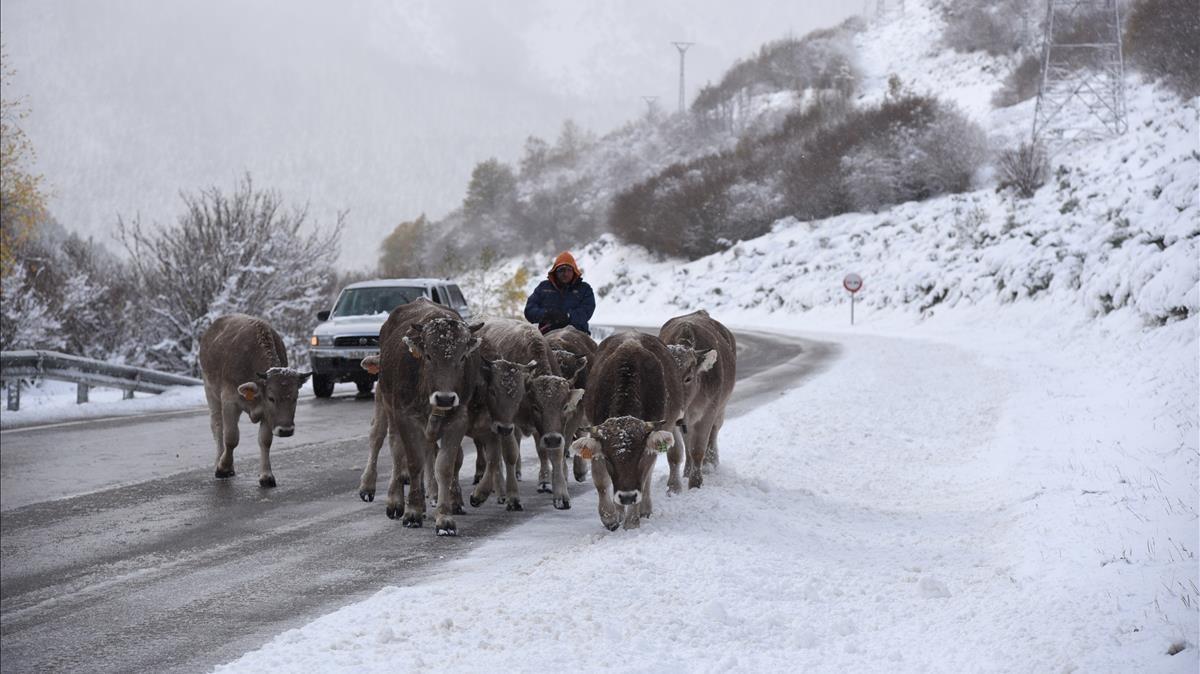 zentauroepp40841226 lleida  primeras nevadas en el port de la bonaigua  vall d a171106132341